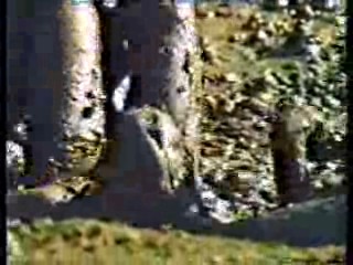 How Dare You,  Red Neck Games