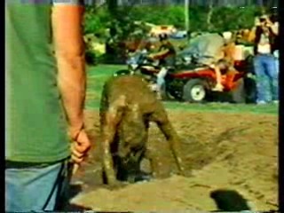 How Dare You,  Red Neck Games