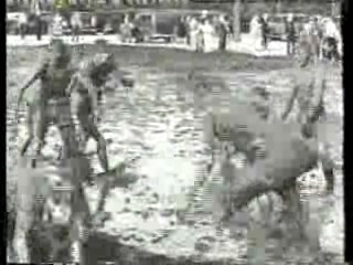 Newman and Baddiel, UK comedy shows (2), Vintage mud film,  Big Breakfast Show