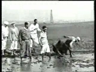 French and Saunders, The Krankies,  Should Married Men Go Home