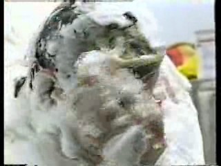 Soap, UK variety shows (s),  Custard Pie Record Attempt