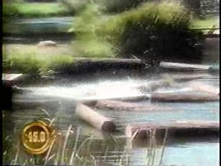 Wild West Showdown,  Baywatch