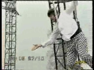 Live and Kicking,  Misc pies and messy