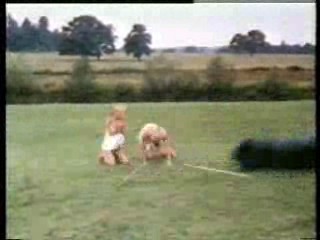 Benny Hill,  Charlie Caroli,  Crackerjack,  How Dare You