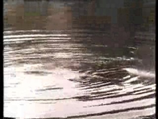 Norman Wisdom movie,  It's A Knockout