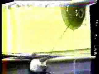 Norman Wisdom movie,  It's A Knockout