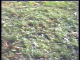 Tarzan, the Ape Man (the Indian version)