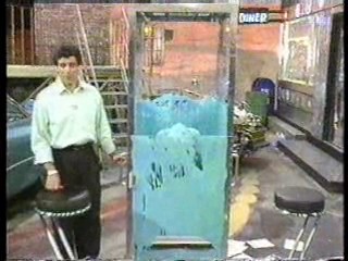 Drop the Dead Donkey,  Noel's House Party