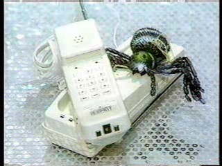 Dear John,  Noel's House Party