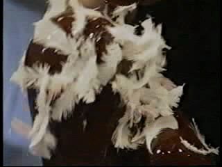 K!dnapped - Tar and Feathers