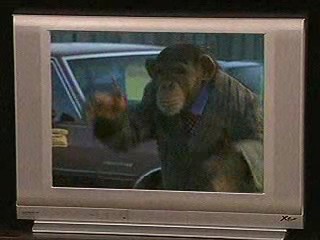 Assorted Pieing/Caking