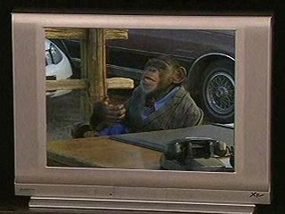 Assorted Pieing/Caking