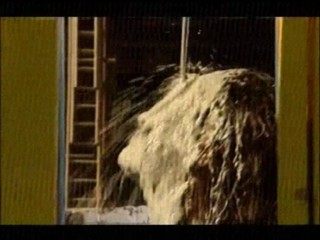 The Sooty Show, Demolition Dad