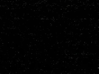 Battle of the Network Stars (Patti Klous)