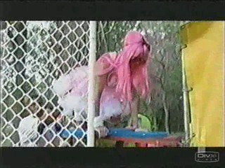 The Anna Nicole Smith show