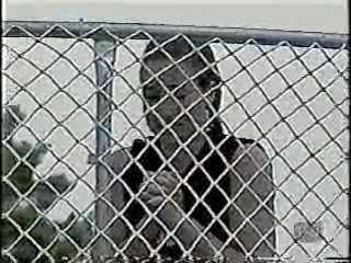 CFL Cheerleaders Dunk Tank