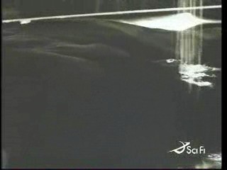 Sexcetera,  Something is Out There