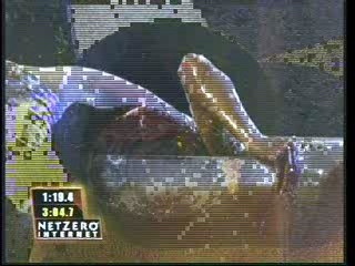 Fear Factor,  3 girls get messy