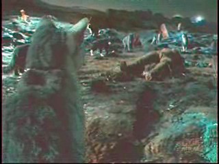 Next Top Model,  Catwoman