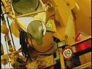 Love Me If You Dare,  I Love the 80's