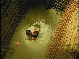 Love Me If You Dare,  I Love the 80's