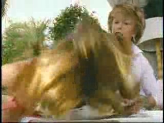 Pepper Dennis,  Monster in Law,  Dynasty