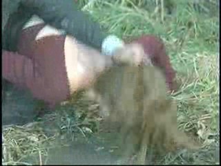 I Heart Huckabees,  Eye For An Eye