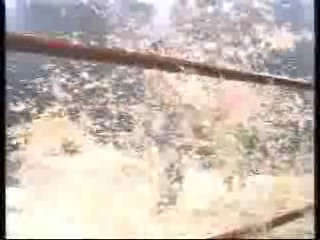 I Heart Huckabees,  Eye For An Eye