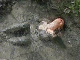 Michelicious Mudilicious