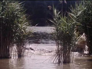 Princess Jasnenka and Flying Shoemaker