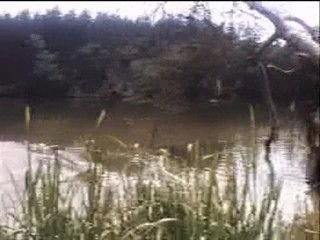 Princess Jasnenka and Flying Shoemaker