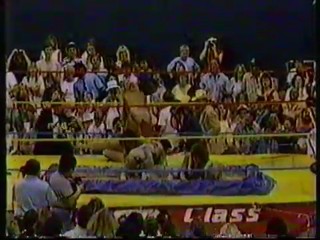 Battle Royal Pro Wrestling