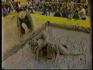 Battle Royal Pro Wrestling