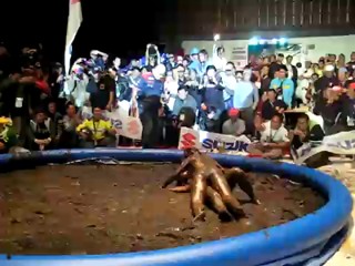 Philipinres Motorcycle Convention mudwrestling