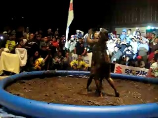 Philipinres Motorcycle Convention mudwrestling