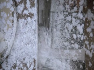 Where the Buffalo Roam