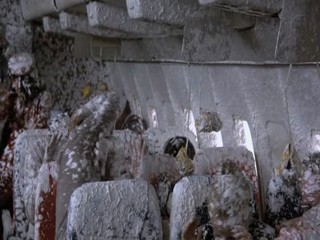 Where the Buffalo Roam