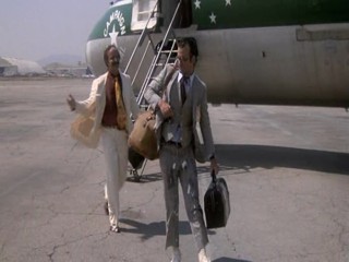 Where the Buffalo Roam