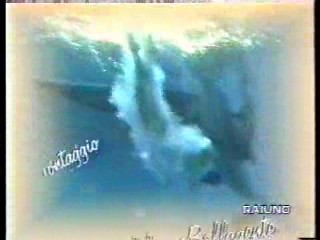 Stelle Suir Acqua - Aquatic Show