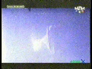 Sexy Sexy Lover,  Zazie music video