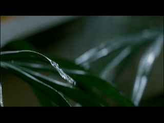 When a stranger calls