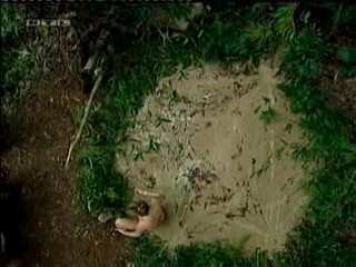 Caroline Beil - German I'm a celbrity