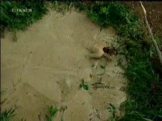 Caroline Beil - German I'm a celbrity