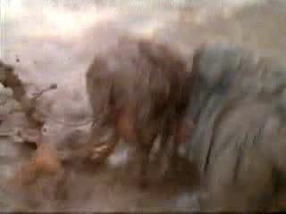 undercover blues sceen