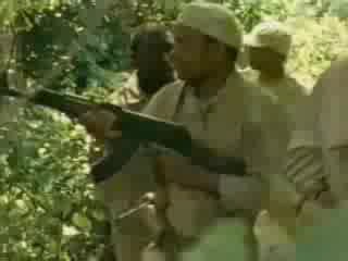 Sheena - Stranded in the Jungle