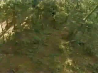 Sheena - Stranded in the Jungle