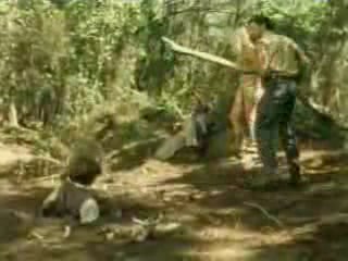 Sheena - Stranded in the Jungle