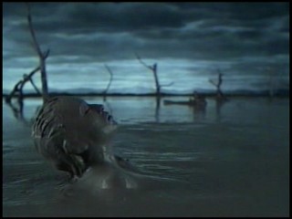 Ayumi Hamasaki Commercial