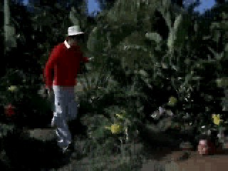 Gilligan's Island Mud Bath