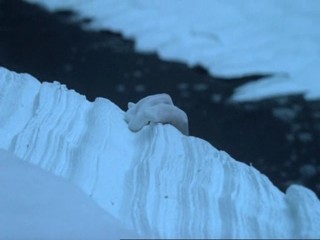 Under the ice - Alias